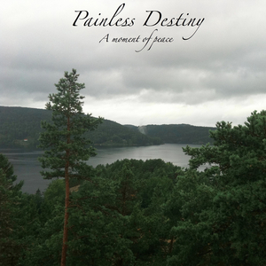 cos尾巴插件要入体教程
